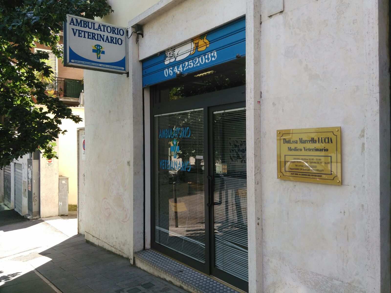 Ambulatorio Veterinario Piazza Bologna Roma Ambulatorio Veterinario Piazza Bologna Roma