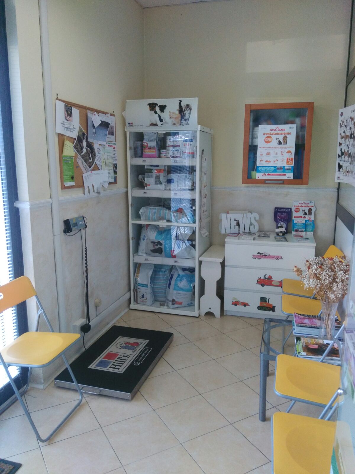 Ambulatorio Veterinario Piazza Bologna Roma – sala d’attesa Ambulatorio Veterinario Piazza Bologna Roma - sala d'attesa