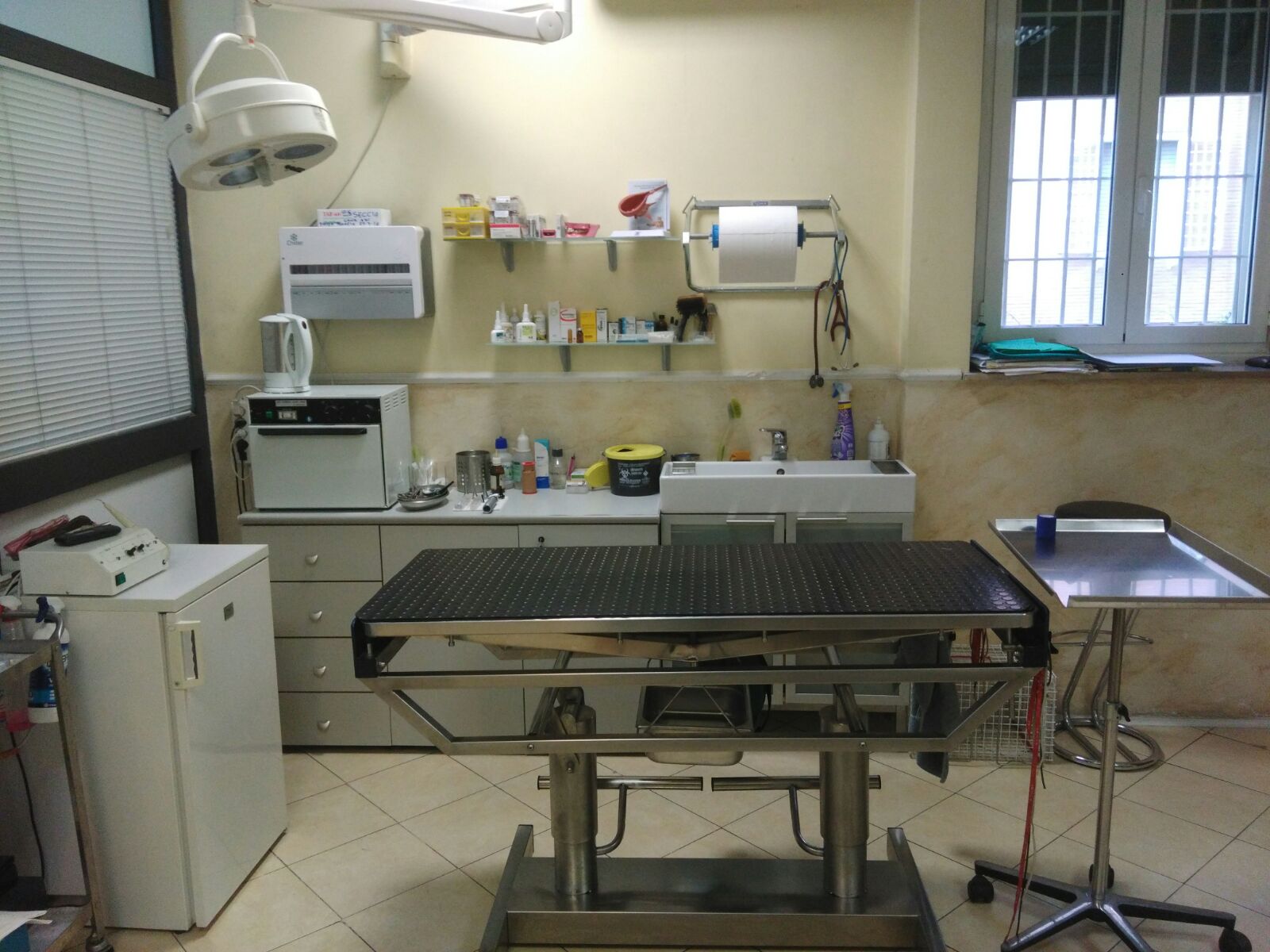 Ambulatorio Veterinario Piazza Bologna Roma – sala visite Ambulatorio Veterinario Piazza Bologna Roma - sala visite