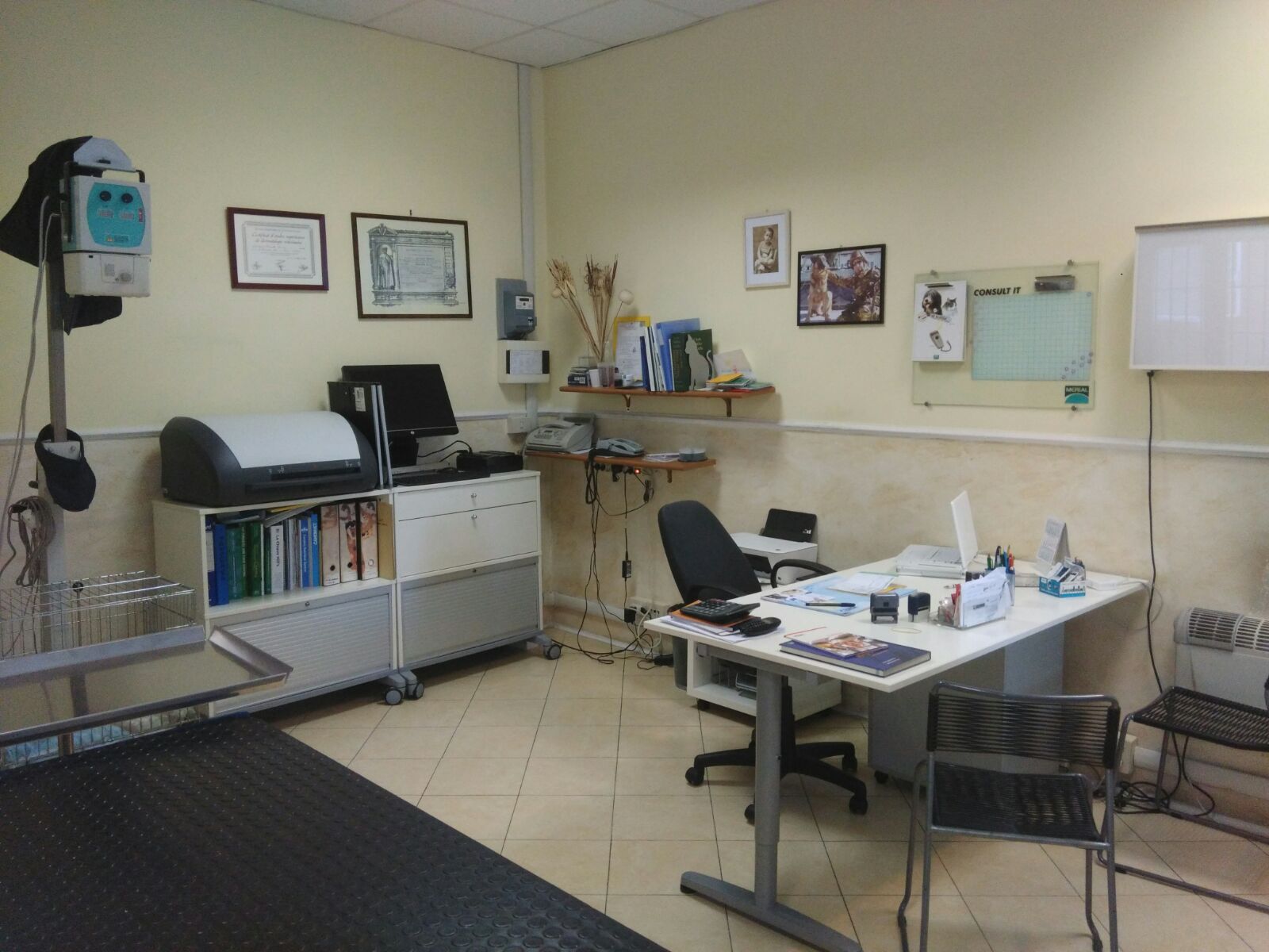 Ambulatorio Veterinario Piazza Bologna Roma Ambulatorio Veterinario Piazza Bologna Roma