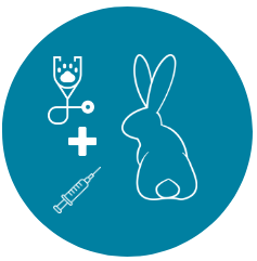 veterinario piazza bologna vaccinazione coniglio