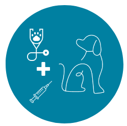 veterinario piazza bologna vaccino cane