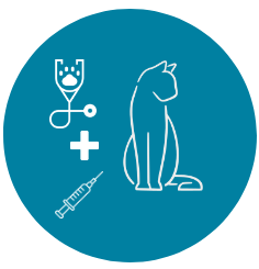 veterinario piazza bologna vaccino gatto2