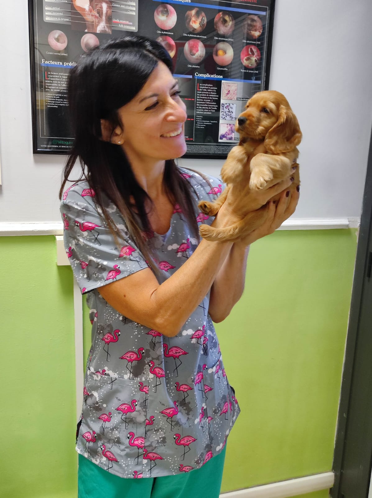 Dott.ssa Marcella Lucia Veterinario Dermatologo Dott.ssa Marcella Lucia Veterinario Dermatologo