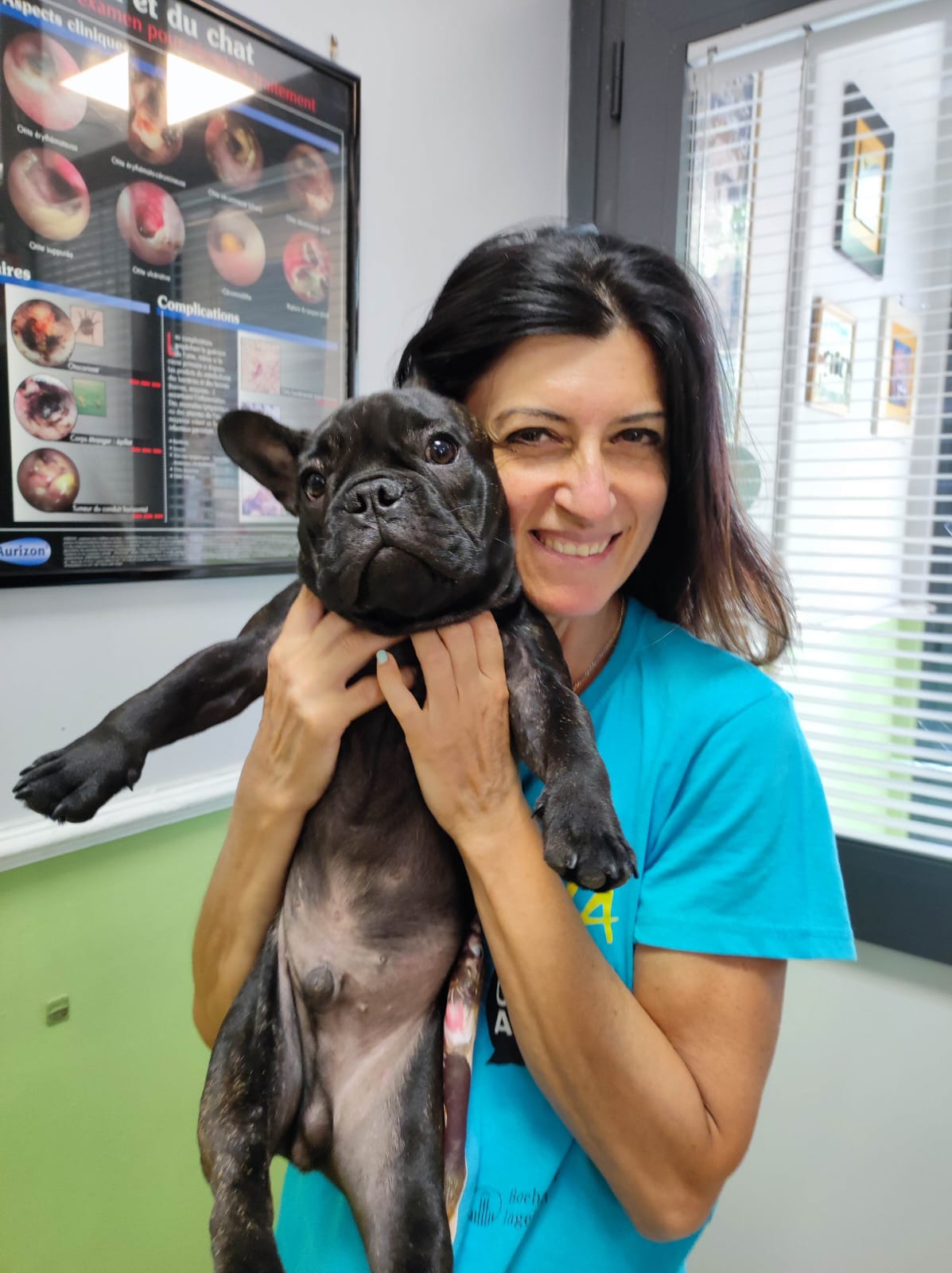Dott.ssa Marcella Lucia Veterinario Dermatologo Roma Dott.ssa Marcella Lucia Veterinario Dermatologo Roma