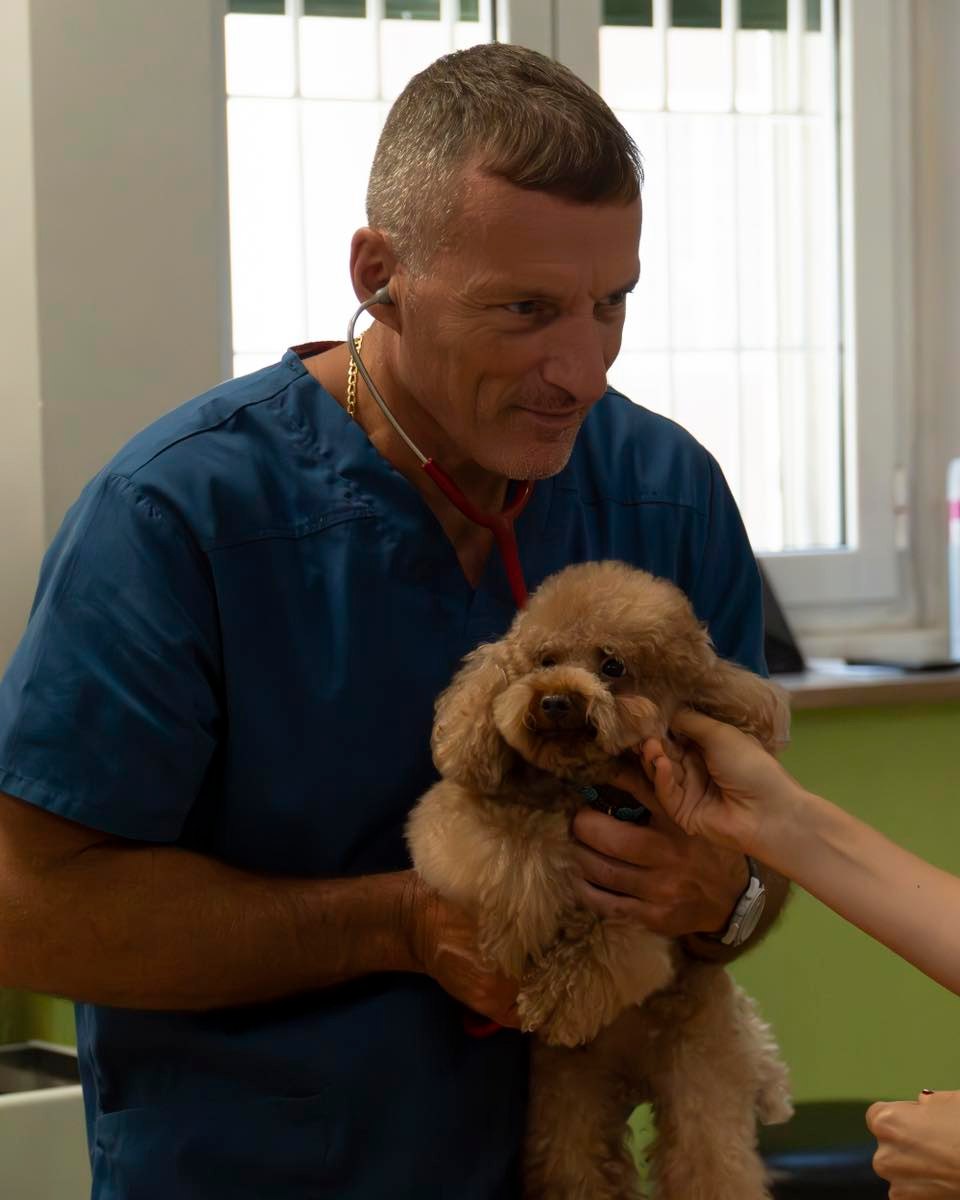 ambulatorio veterinario roma piazza bologna