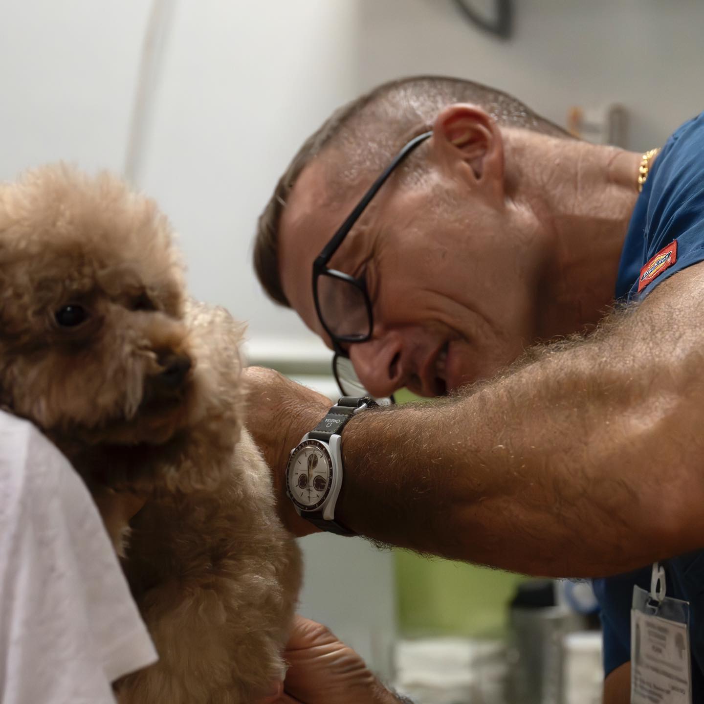 amvulatorio veterinario piazza bologna