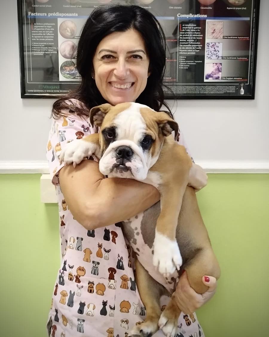 veterinario dermatologo roma piazza bologna